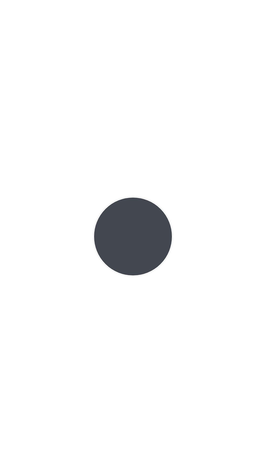 Schiefergrau   Ral 7015