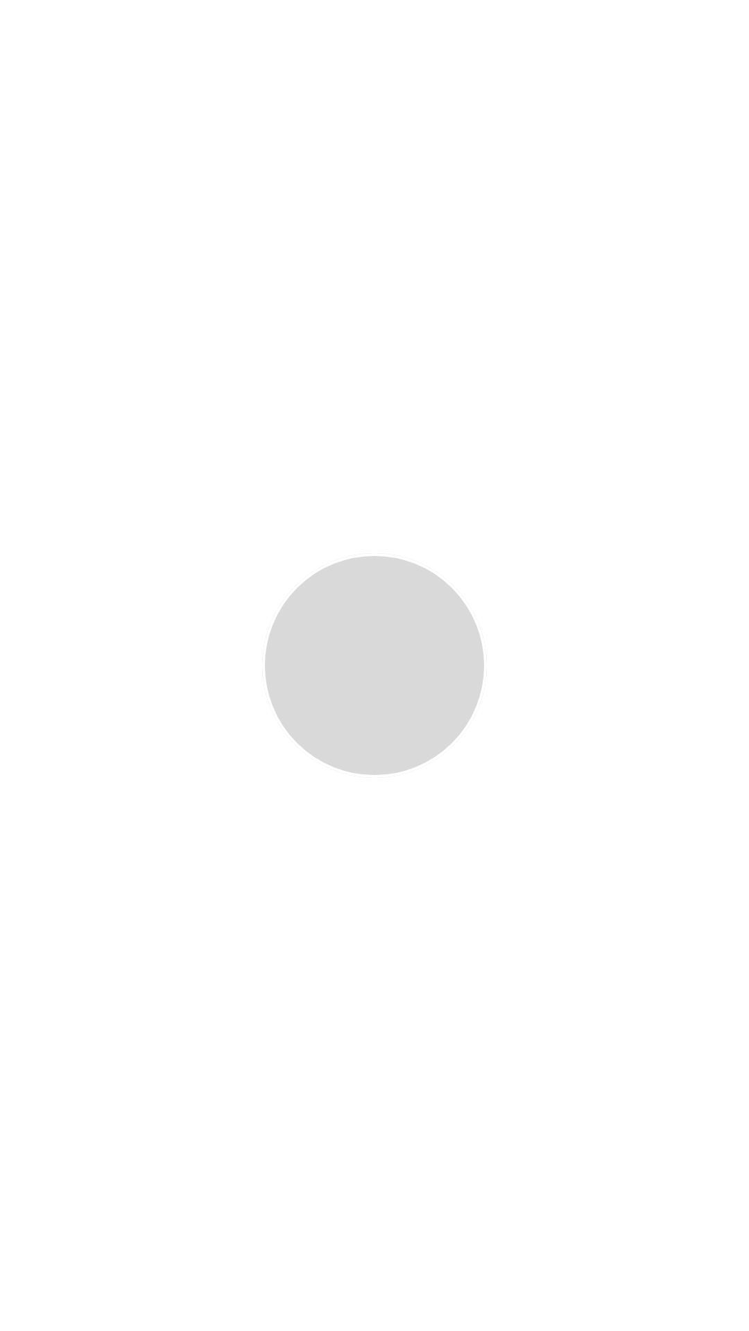 Silbergrau   E6 E1