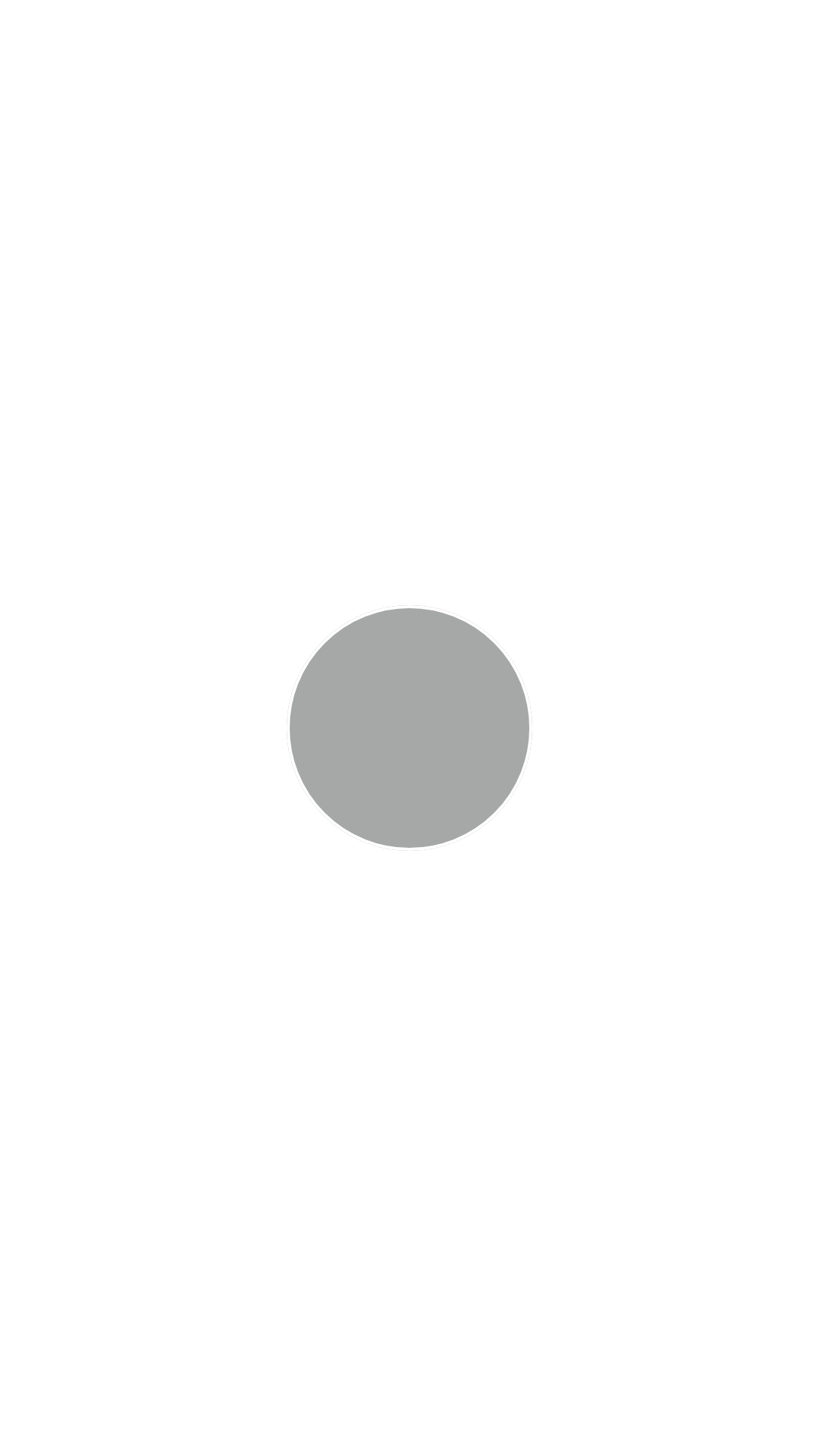 Weißaluminium   Ral 9006